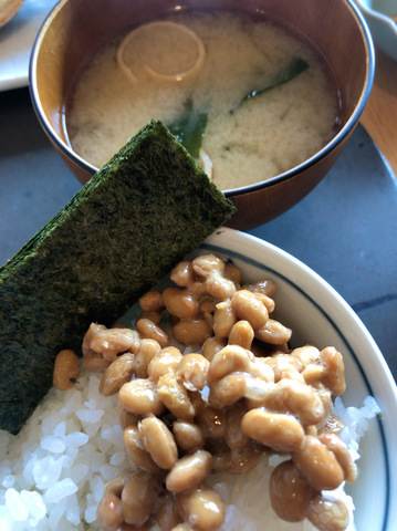 四季倶楽部 アイソネット草津 朝食和定食 アジの開き W 元いすゞ保養所 500円 珍安ホテルの朝食 夕食レポート